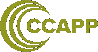 Center for Cosmology and AstroParticle Physics